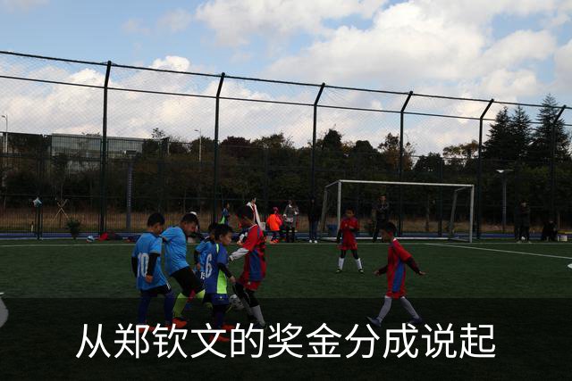 从郑钦文的奖金分成说起